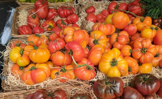 Photo of Primrose Hill Food Market