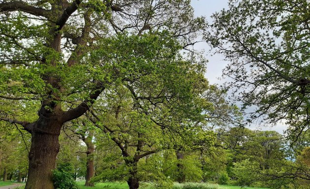 Photo of Hilly Fields Park