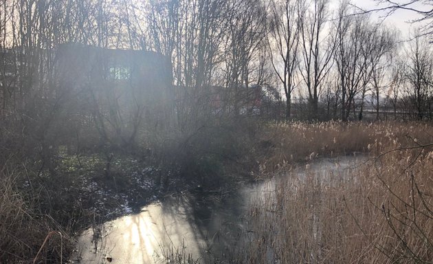 Photo of Bow Creek Ecology Park