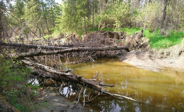 Photo of Blackmud Creek