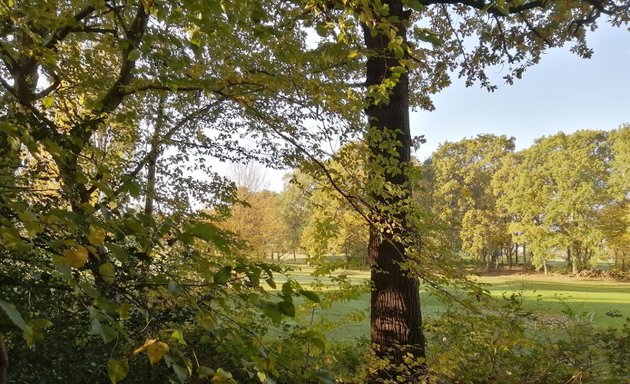 Photo of Bluebell Wood, London