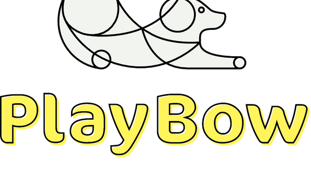 Photo of PlayBow Dog Daycare & Sleepovers