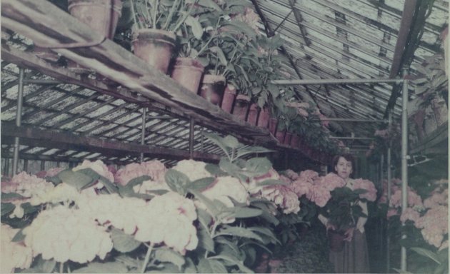 Photo of Frank, fleuriste et centre du jardin