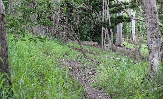Photo of Hill Trail