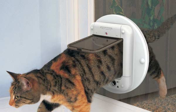 Photo of coventry cat flap fitter