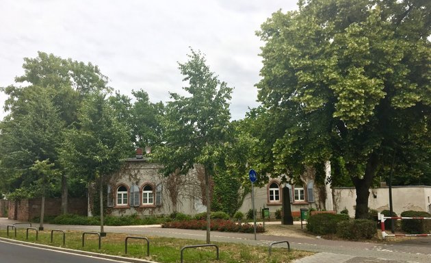 Foto von Friedhof Kurmainzer Straße