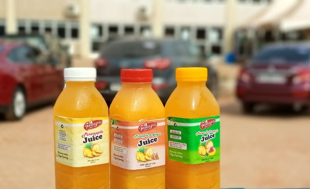 Photo of Taitapic Fruit Juice- Tse Addo