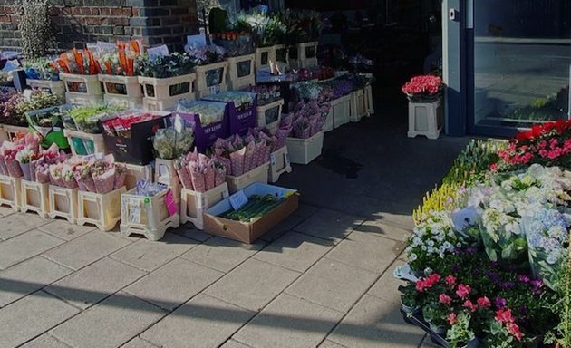 Photo of Streets Florist & Greengrocer