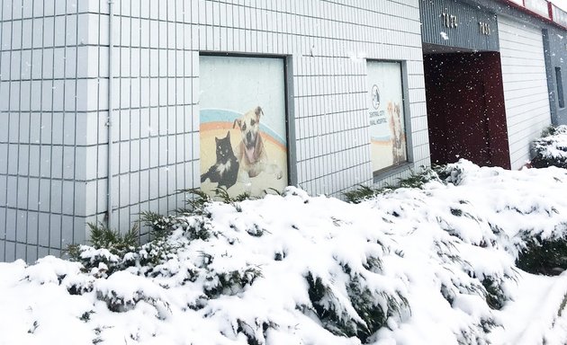 Photo of Central City Animal Hospital