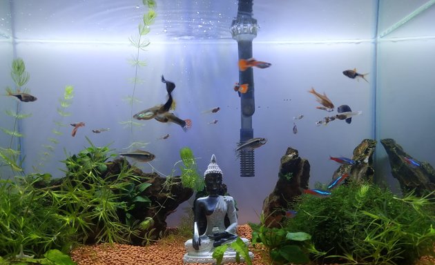 Photo of Sai delight aquarium