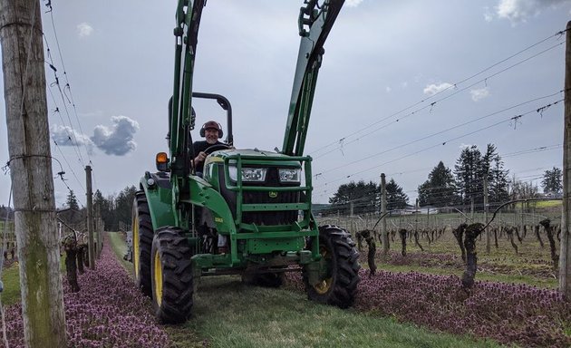 Photo of Mt Lehman Winery