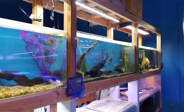 Photo of The Fish Store