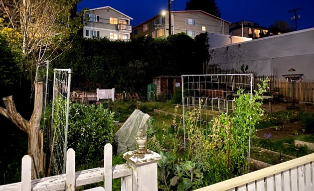 Photo of Shiga's P-Patch Community Garden