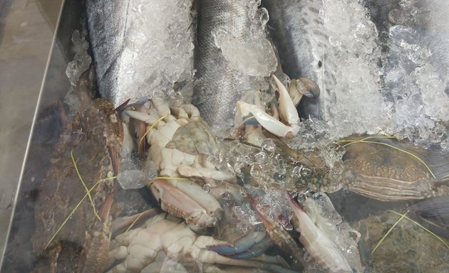 Photo of Adonai Fish Stall