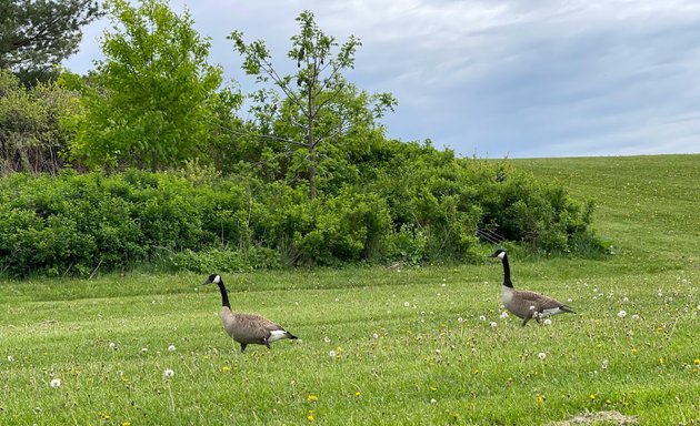 Photo of Caledonia Park