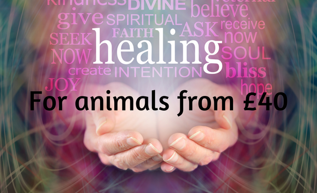 Photo of Reiki Unlimited Treatments and Workshops