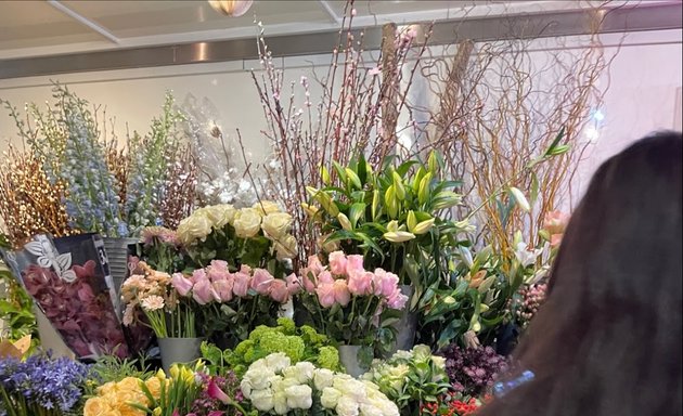 Photo of Igloo Flowers