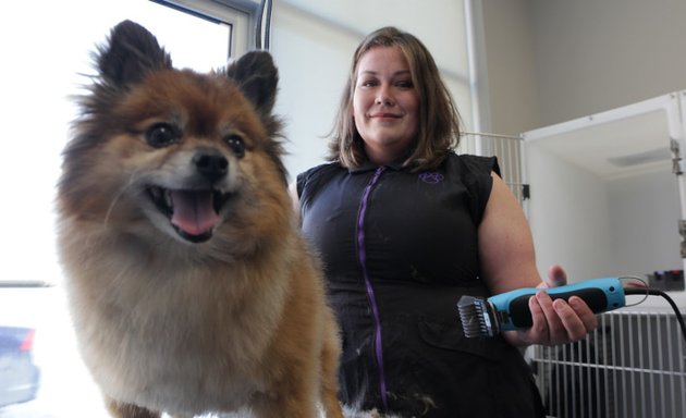 Photo of Silver Heights Veterinary Hospital