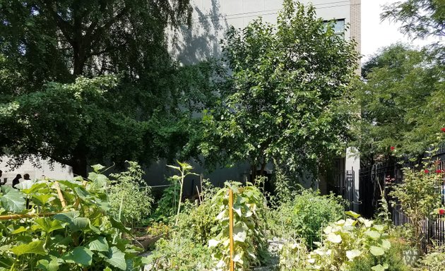 Photo of Carver Community Garden