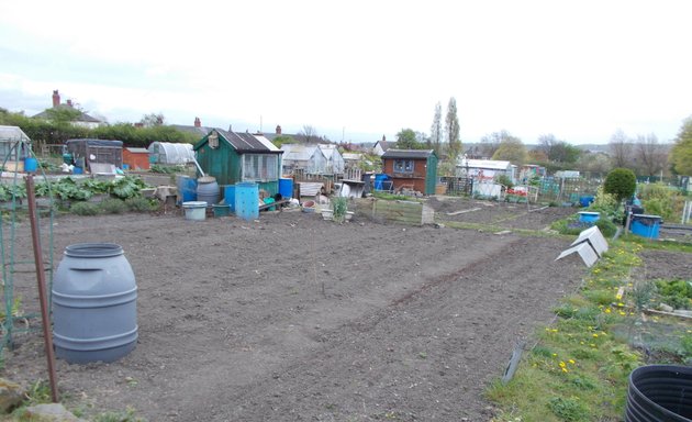 Photo of Old Lane Allotments