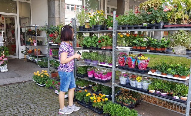 Foto von Blumen Fachgeschäft