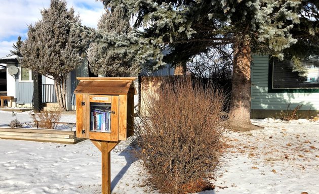 Photo of Little Free Library Charter #73619