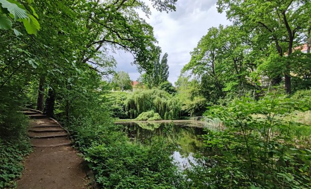 Foto von Circle-bench