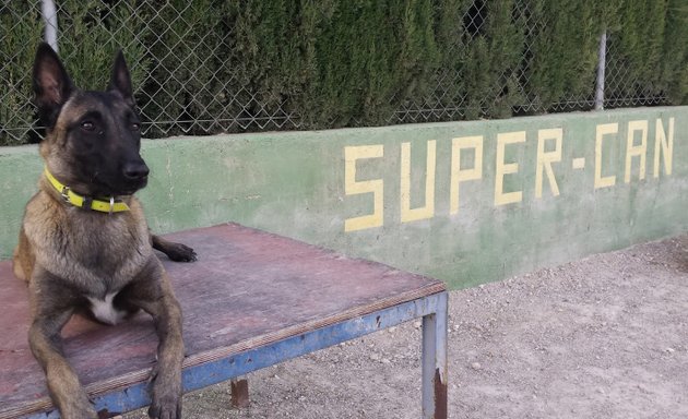 Foto de Club Canino Supercan