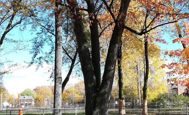 Photo of Parc Nicolas-Viel tennis courts