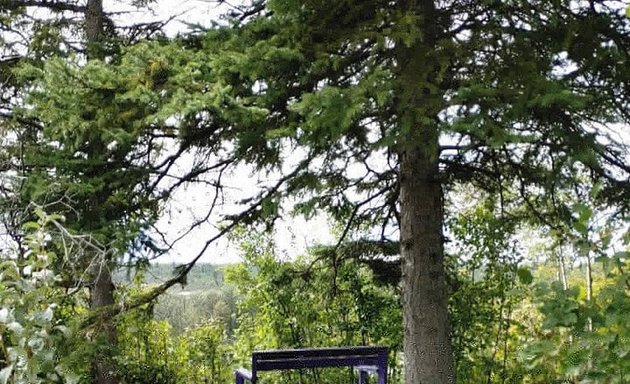 Photo of The Purple Bench