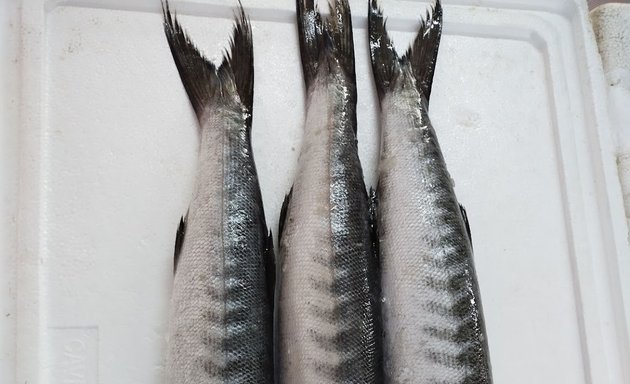 Photo of Karavalli fish