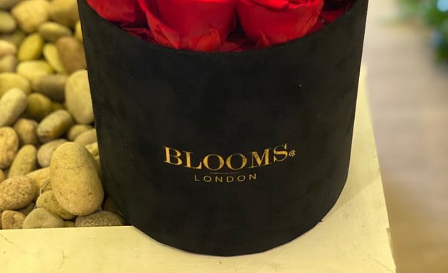 Photo of Blooms at London (Bluebird Chelsea)