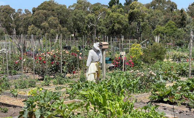 Photo of Nunawading Community Gardens