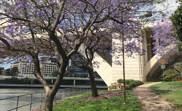 Photo of Kurilpa Point Park