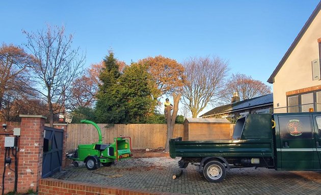 Photo of Jacksons Tree Services