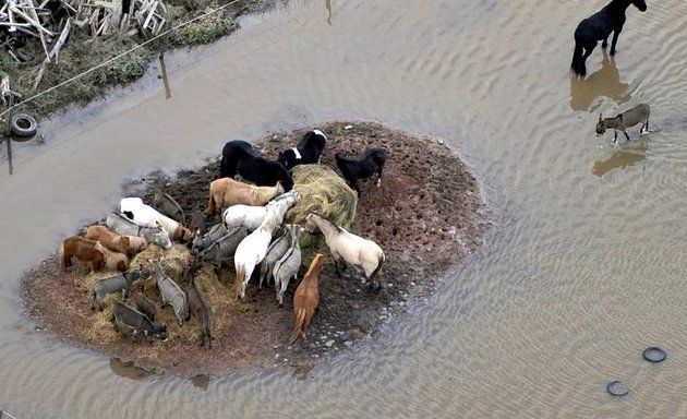 Photo de GIP Seine-Aval