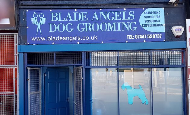 Photo of Blade Angels Dog Grooming