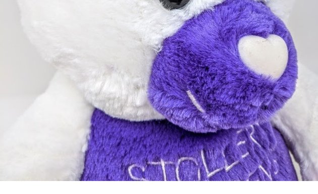 Photo of Stollery Kids Store