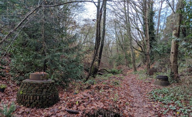 Photo of College Street Ravine