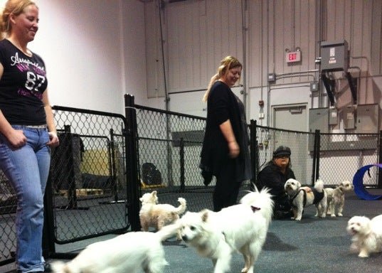 Photo of Sprockett's Doggy Day Camp Inc. (EAST)