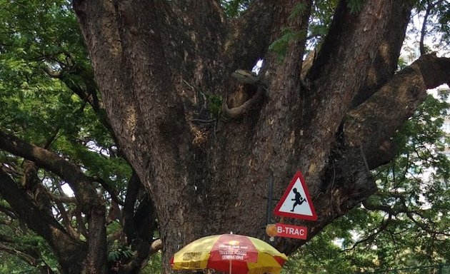 Photo of Coconut shop