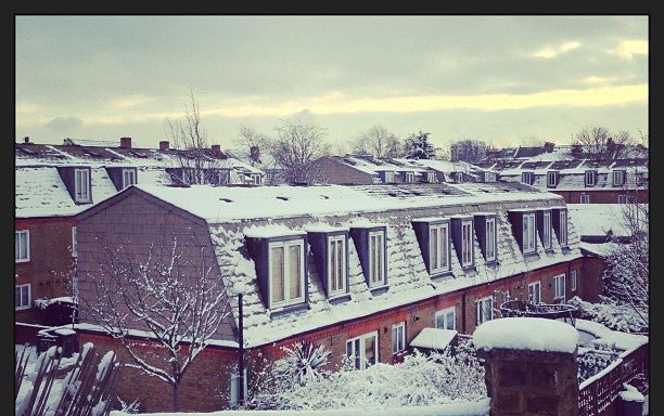 Photo of Clapham Old Town Trees