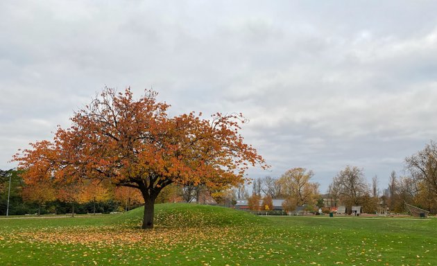 Photo of Bench