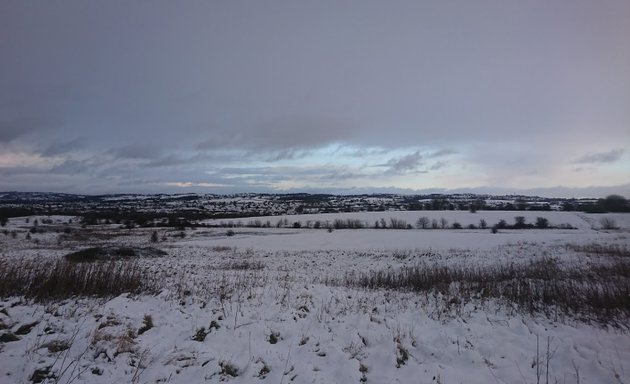 Photo of Berryhill fields