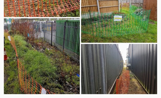 Photo of Inspectas Land Remediation LTD - Japanese Knotweed Specialists