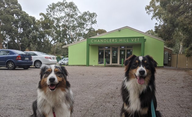 Photo of Chandlers Hill Vet