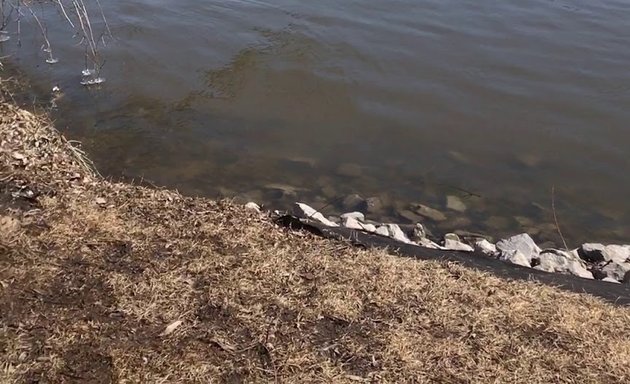 Photo of Rideau Valley Conservation Authority