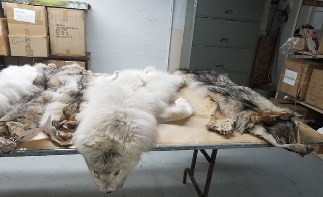 Photo of North American Fur Auctions