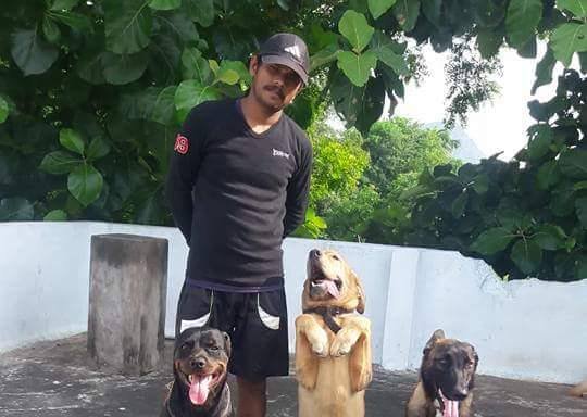 Photo of Surya Dog Trainer's