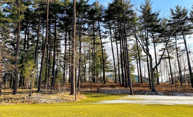 Photo of Pine Tree Preserve